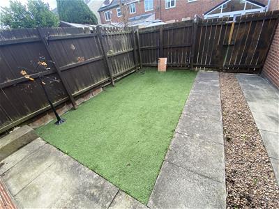Picture 13